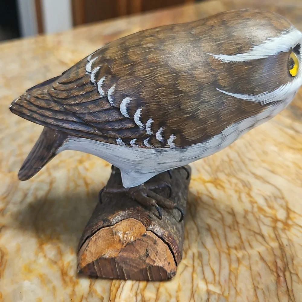 Saw Whet Owl on perch